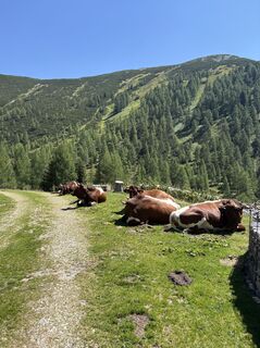 Foto von Bernhard Greve entlang der Tour