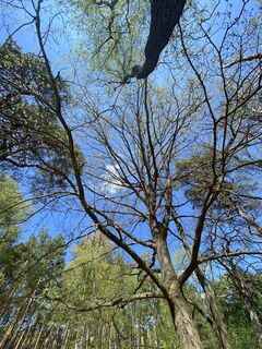 Foto von Jessica zscherper entlang der Tour