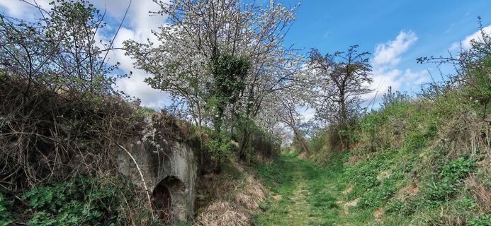 Foto de I Breitler60 a lo largo del recorrido