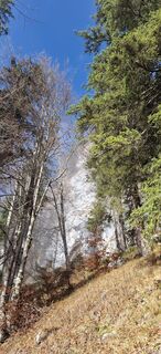 Fotografia z Horst Leo na trase