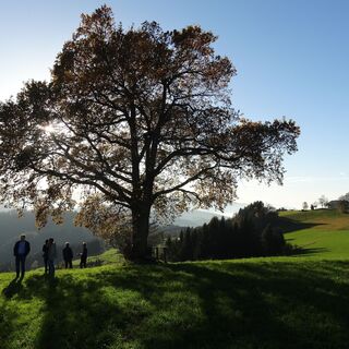 Ein magischer Platz - der Grillparz