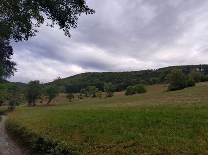 Foto von Roman entlang der Tour