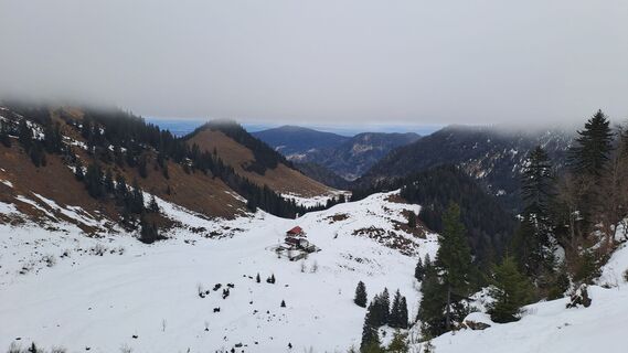 Foto von Gibi entlang der Tour