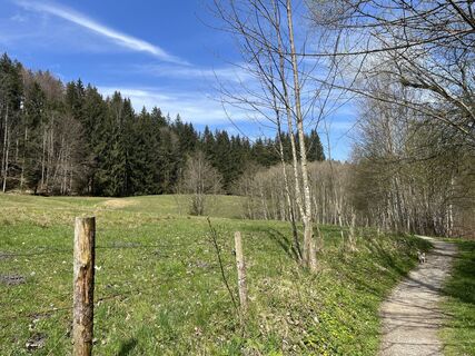 Zdjęcie z Jonathan Unterweger wzdłuż trasy