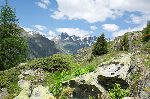 Hoch über Ftan: Piz Clünas – Alp Laret