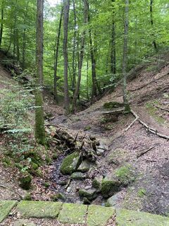 Foto von Sebastian Schleinitz entlang der Tour