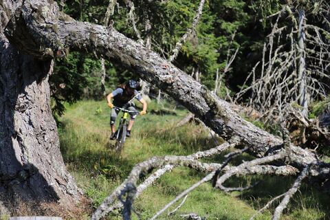 Abfahrt Kärntner Grenztrail