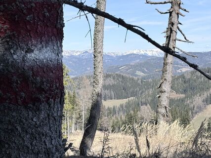 Fotografie z Anton Lilek na trase