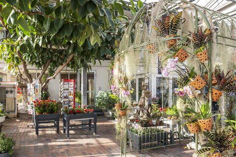Orchideengarten Dahlenburg