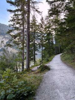 Foto de Poschacher a lo largo del recorrido