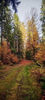 Foto von ReginaSt entlang der Tour