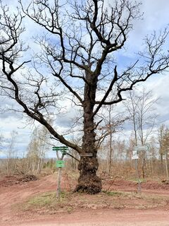 Foto von L.N. entlang der Tour