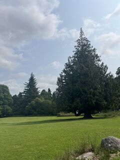 Foto von Anita Maigler entlang der Tour