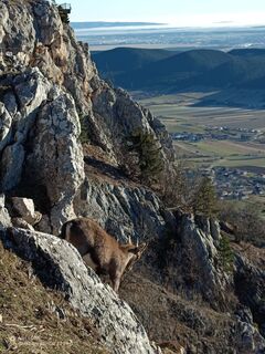 Fotografia z Bergpirat na trase