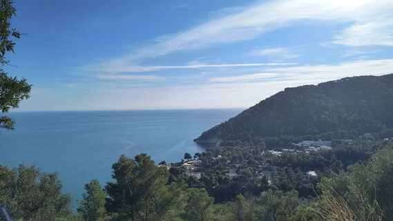 Photo de Platon le long du parcours