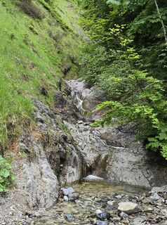 Foto von AlpenFuchs entlang der Tour