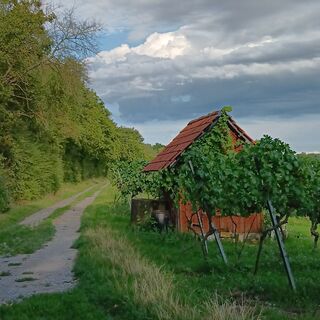 Fotó a Susanne Poschner honlapról a túra során