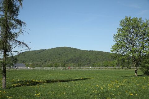 Blick zum Dieberg