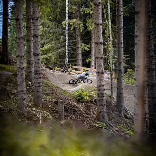 Sisgartner Trail T46