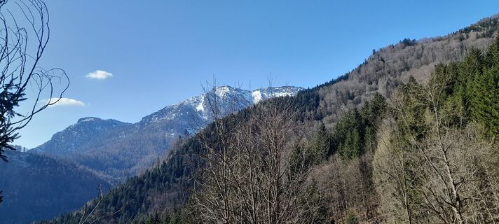 Foto von looli7 entlang der Tour