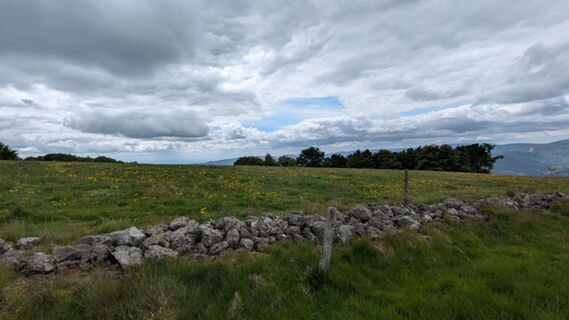 Zdjęcie z Richard Schwald wzdłuż trasy