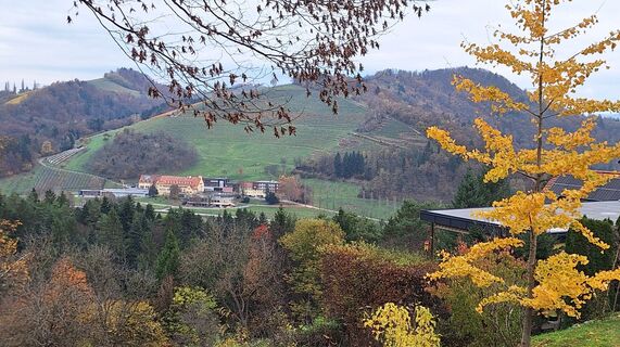 Foto van Karl Kriegseisen langs de tour