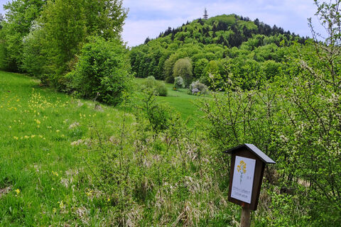 Lehrpfad mit Ossinger