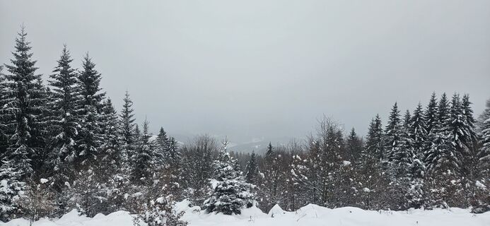 Foto von Mateja Rečnik entlang der Tour