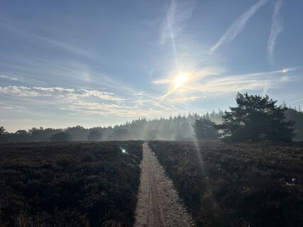 Photo de Marleen Blomsma le long du parcours