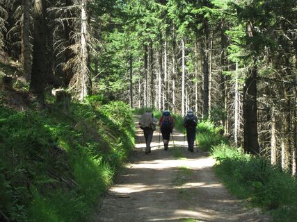 "In der Gasen"
