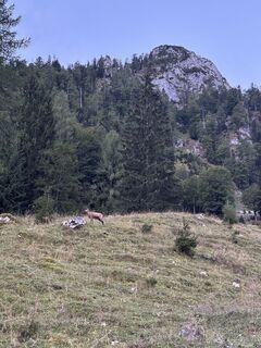 Foto von Volker Föge entlang der Tour