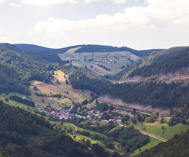 Blick Richtung Aftersteg / Muggenbrunn