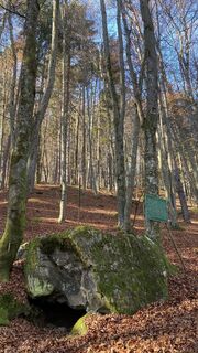 Foto von Claudia Planteu-Zöhrer entlang der Tour