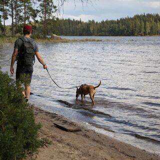 Ketturiutta, Wandergebiet Paistjärvi