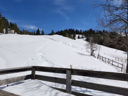 Zdjęcie z Peter Seliner wzdłuż trasy