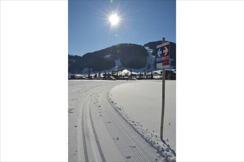 Blattlloipe_Daniela Pfeiler_(12)_bearbeitet.jpg