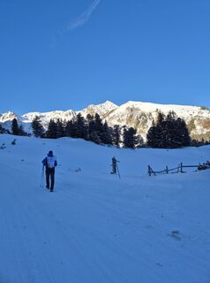 Photo de Niklas Mold le long du parcours