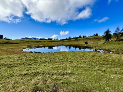 Fotografie de la Tina de-a lungul turului