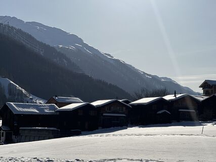 Foto von Zengaffinen Erwin entlang der Tour