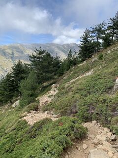 Foto von Jako Koel entlang der Tour