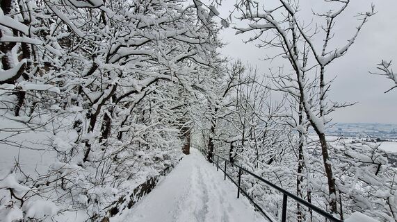 Foto von Regina Fleischmann entlang der Tour