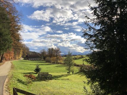Foto von Helix entlang der Tour