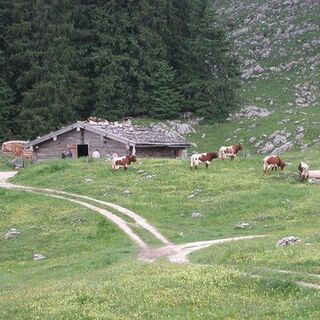 Almerlebnisweg Ramsau