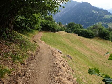 222 Nino Schurter Bike, 2023 neu gebaut