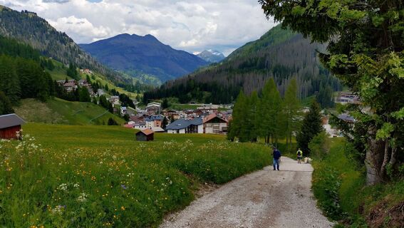 Fotografie z István Gábor 1 na trase