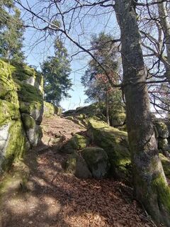 Foto von Wanderfux entlang der Tour