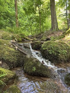 Foto von justasimpleguy entlang der Tour