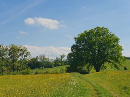 Foto von Margje Wolthuizen entlang der Tour