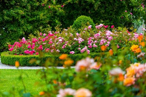 Rosengarten in Pitten