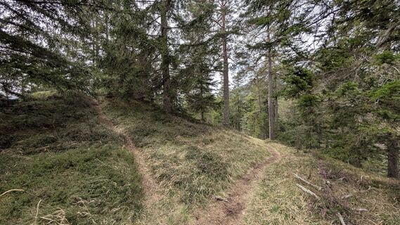 Foto von wernhard entlang der Tour